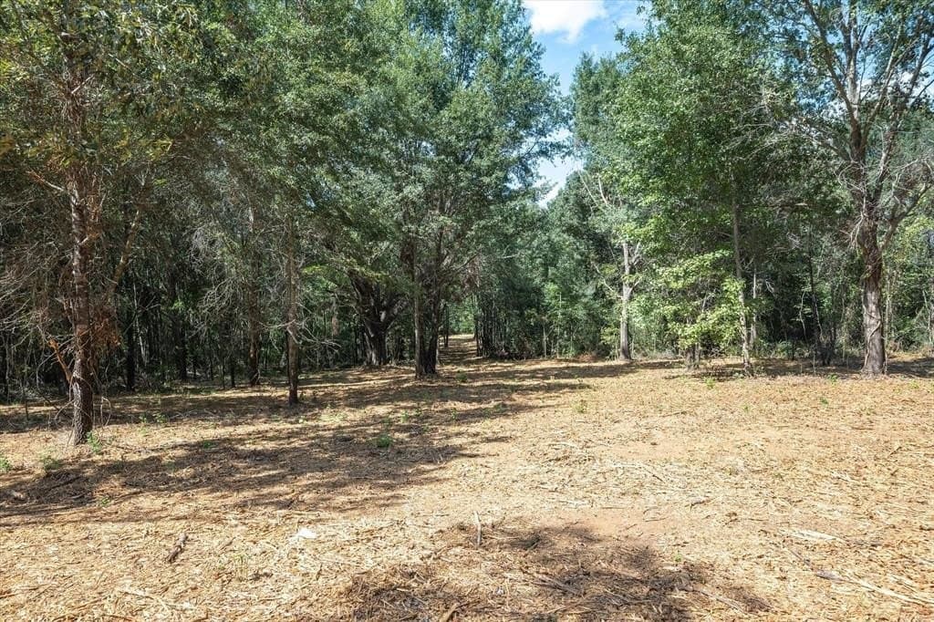 24 acres in Smith County featured view