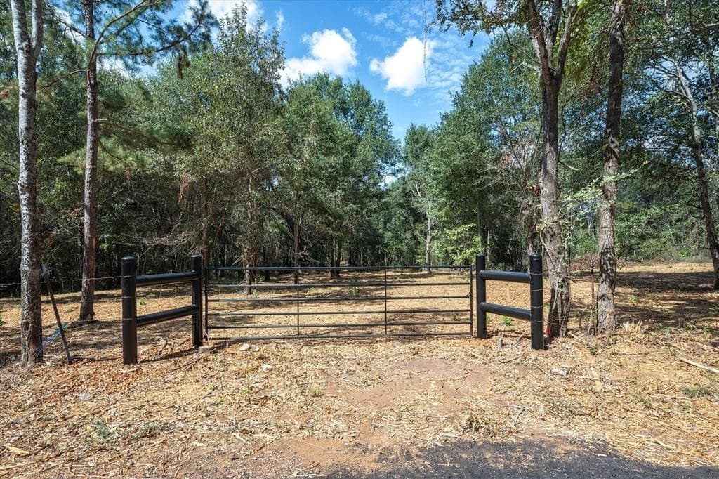 24 acres in Smith County gallery image 4