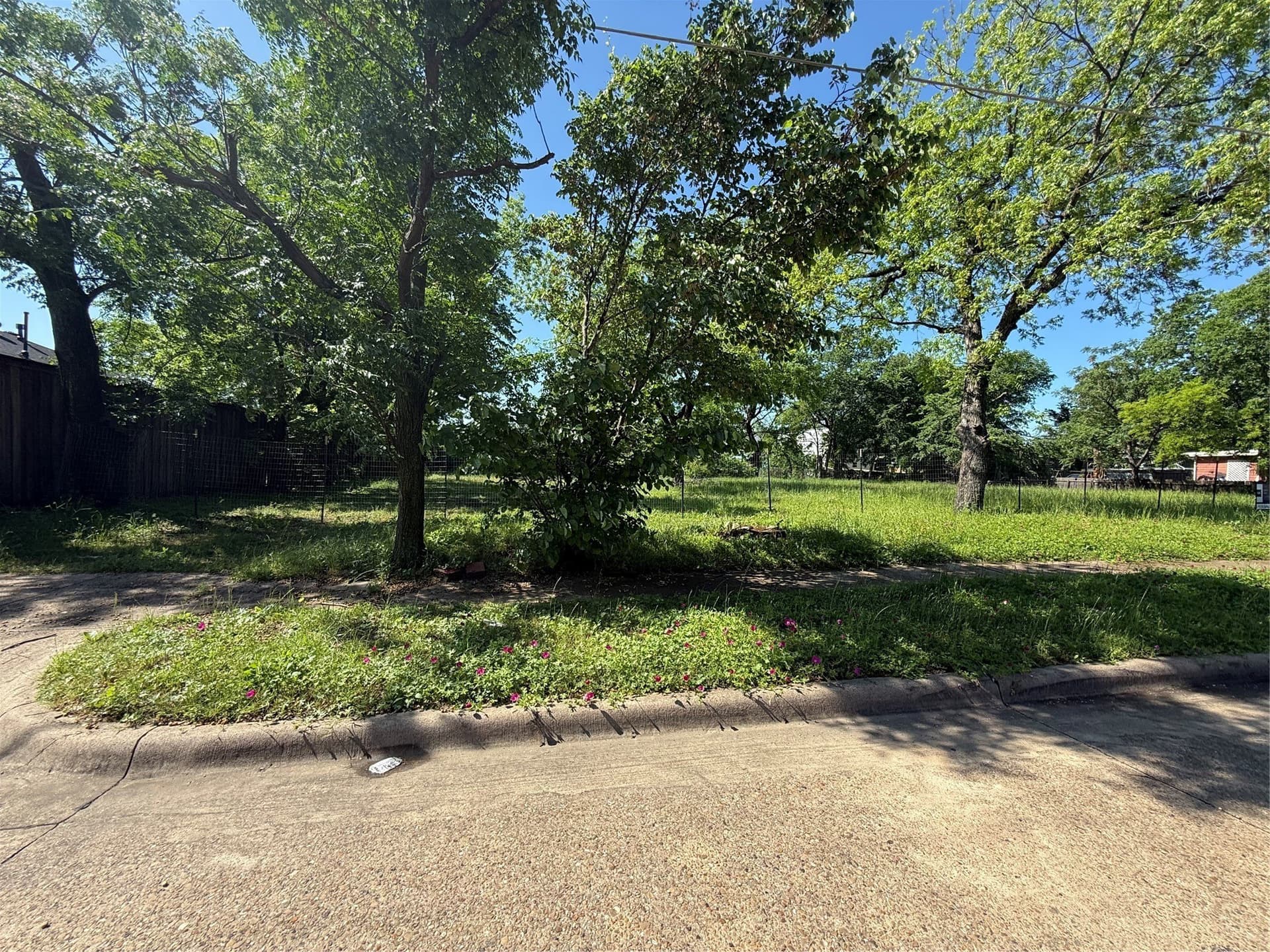 0.48 acres in Dallas County gallery image 3