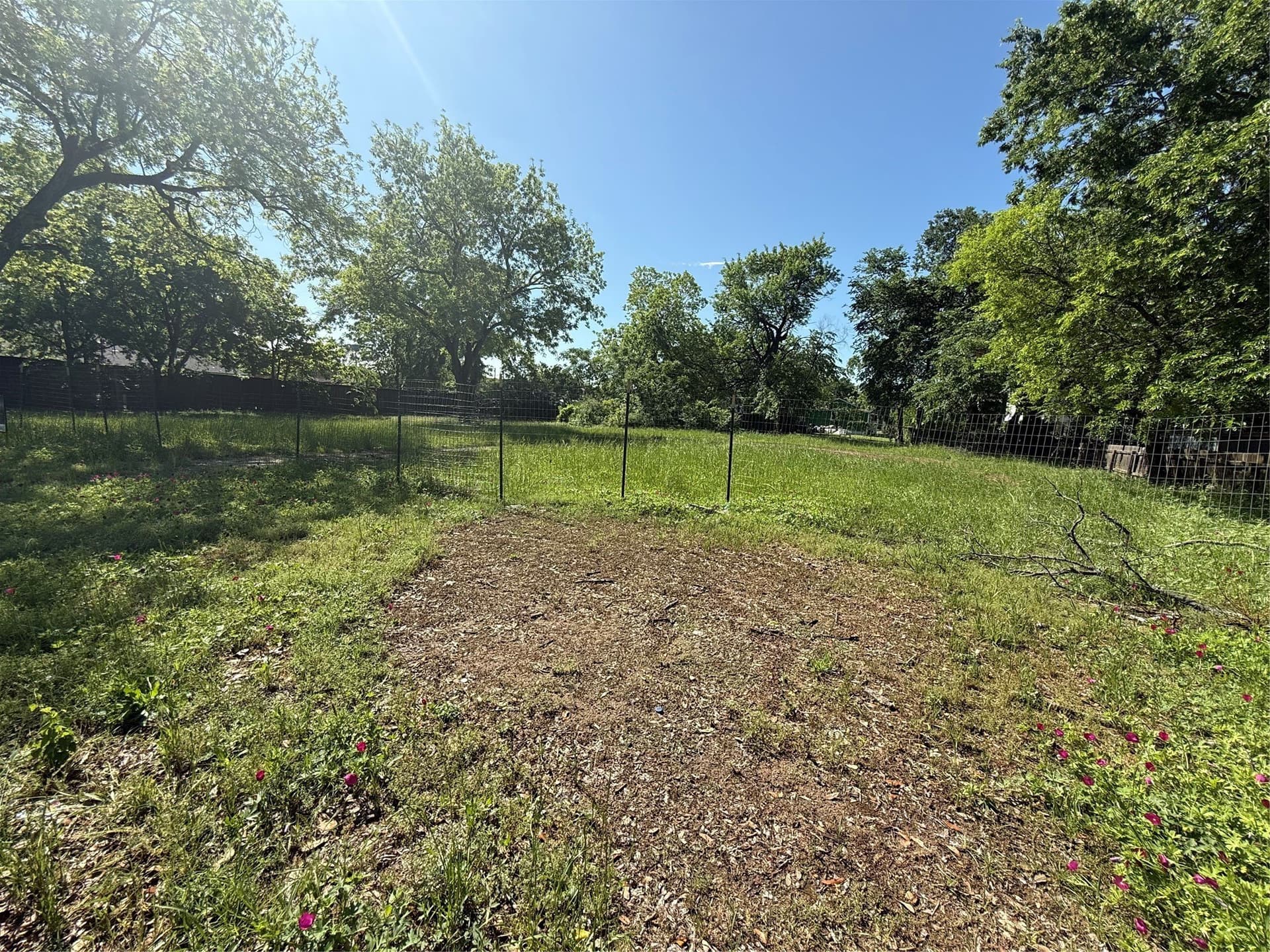 0.48 acres in Dallas County gallery image 2