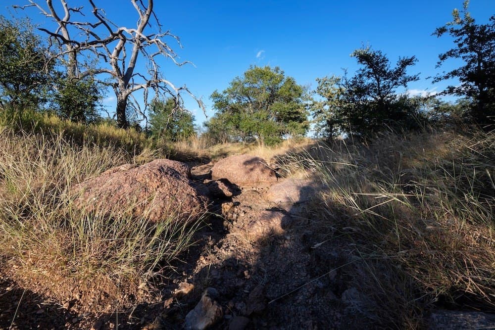 180 acres in Mason County gallery image 3