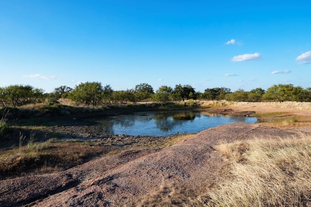 180 acres in Mason County gallery image 4
