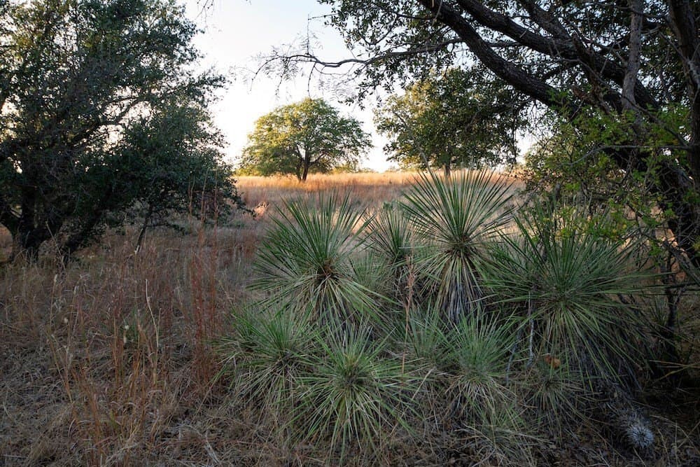 180 acres in Mason County featured view