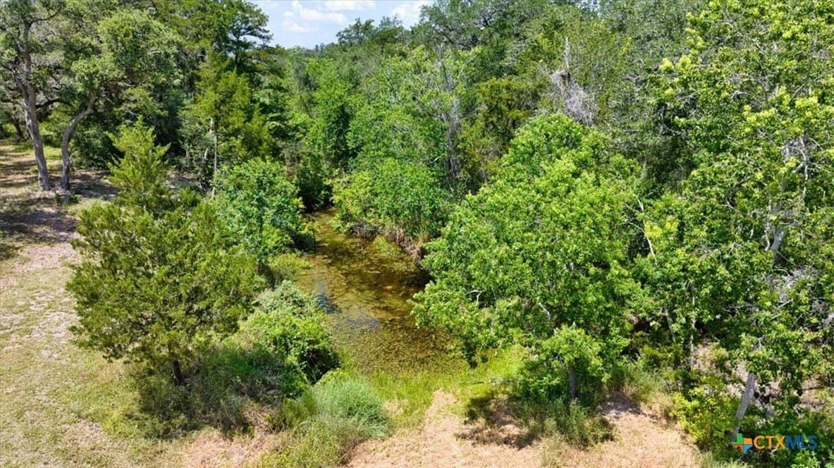 90 acres in DeWitt County - photo 14