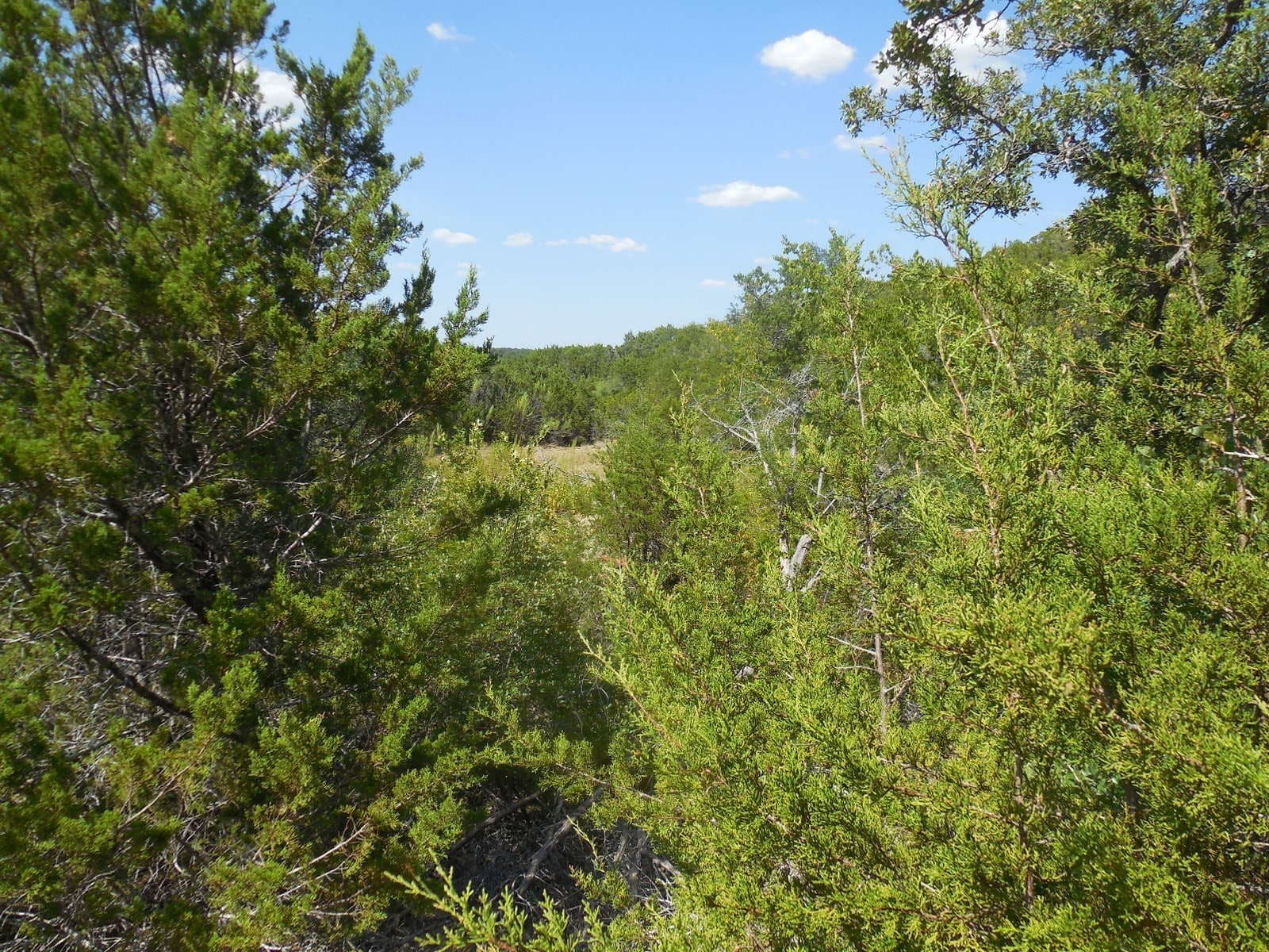 151.99 acres in Eastland County - photo 18