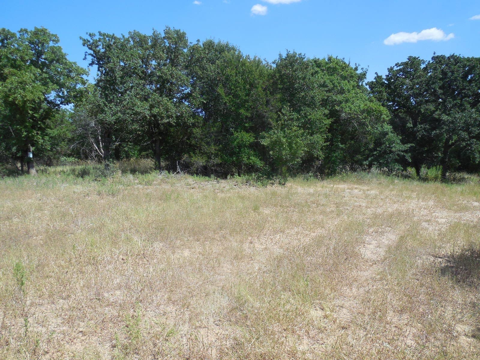 151.99 acres in Eastland County - photo 9