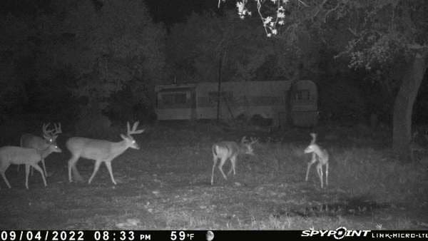 151.99 acres in Eastland County - photo 3