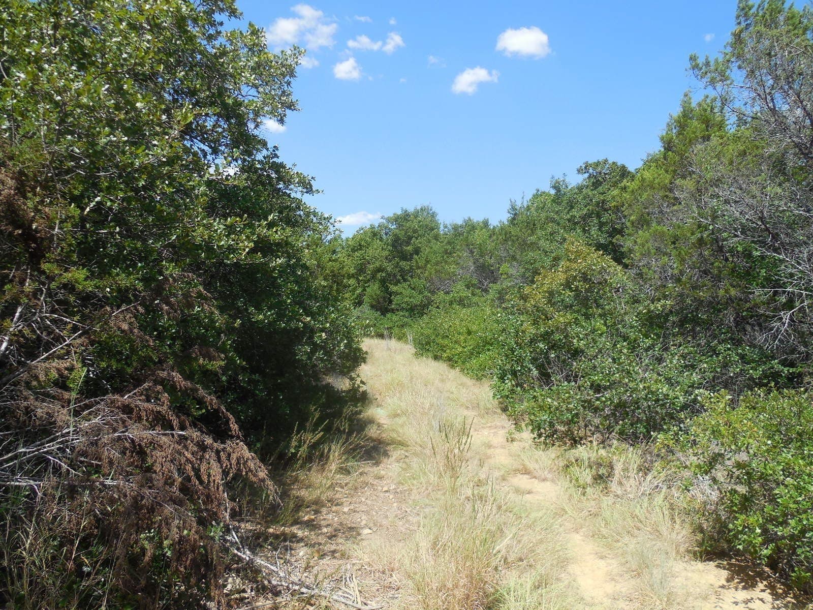 151.99 acres in Eastland County - photo 3