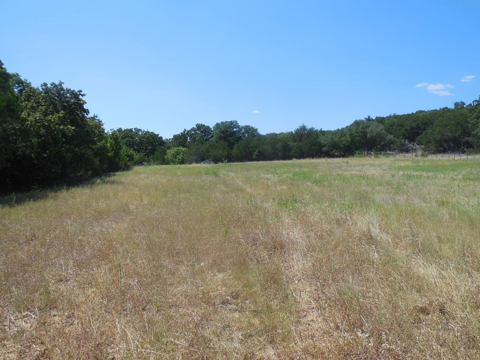 151.99 acres in Eastland County - photo 8