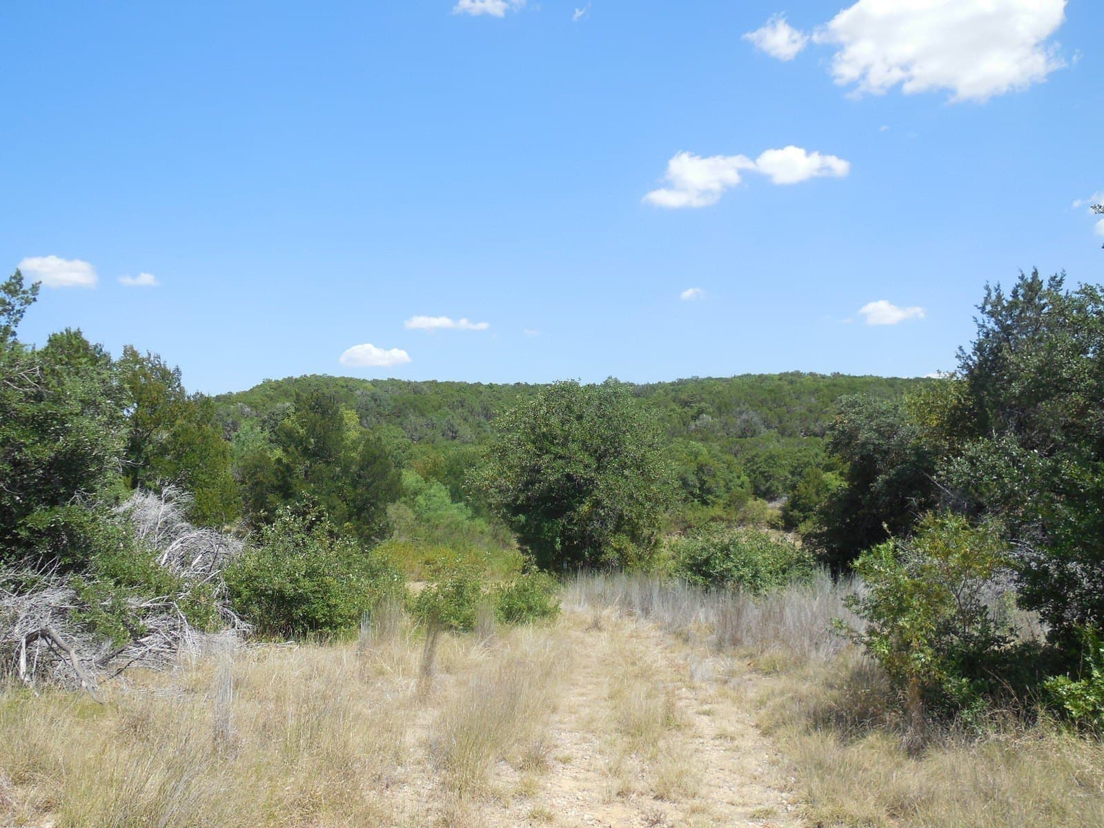 151.99 acres in Eastland County - photo 5