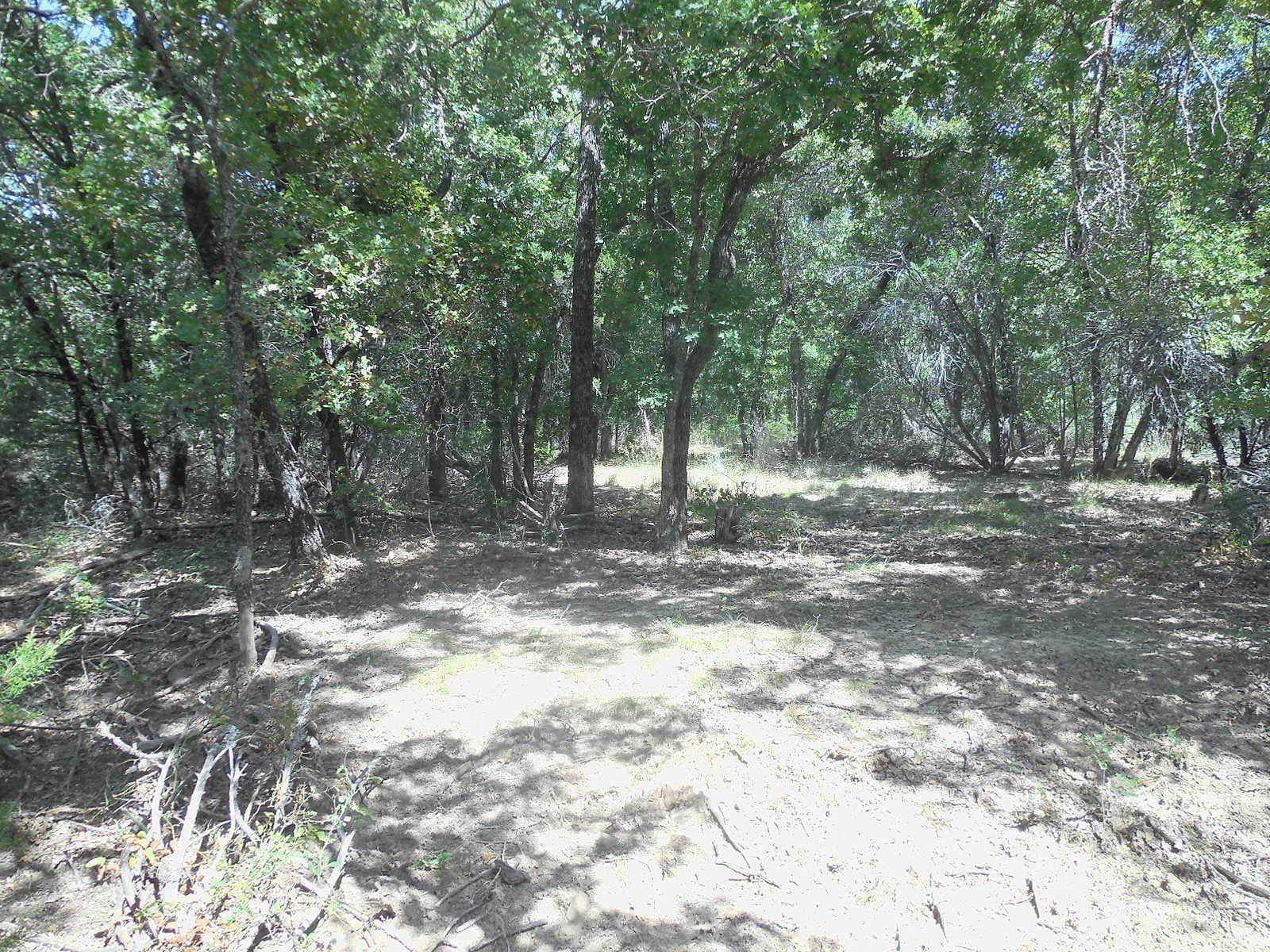 151.99 acres in Eastland County - photo 15