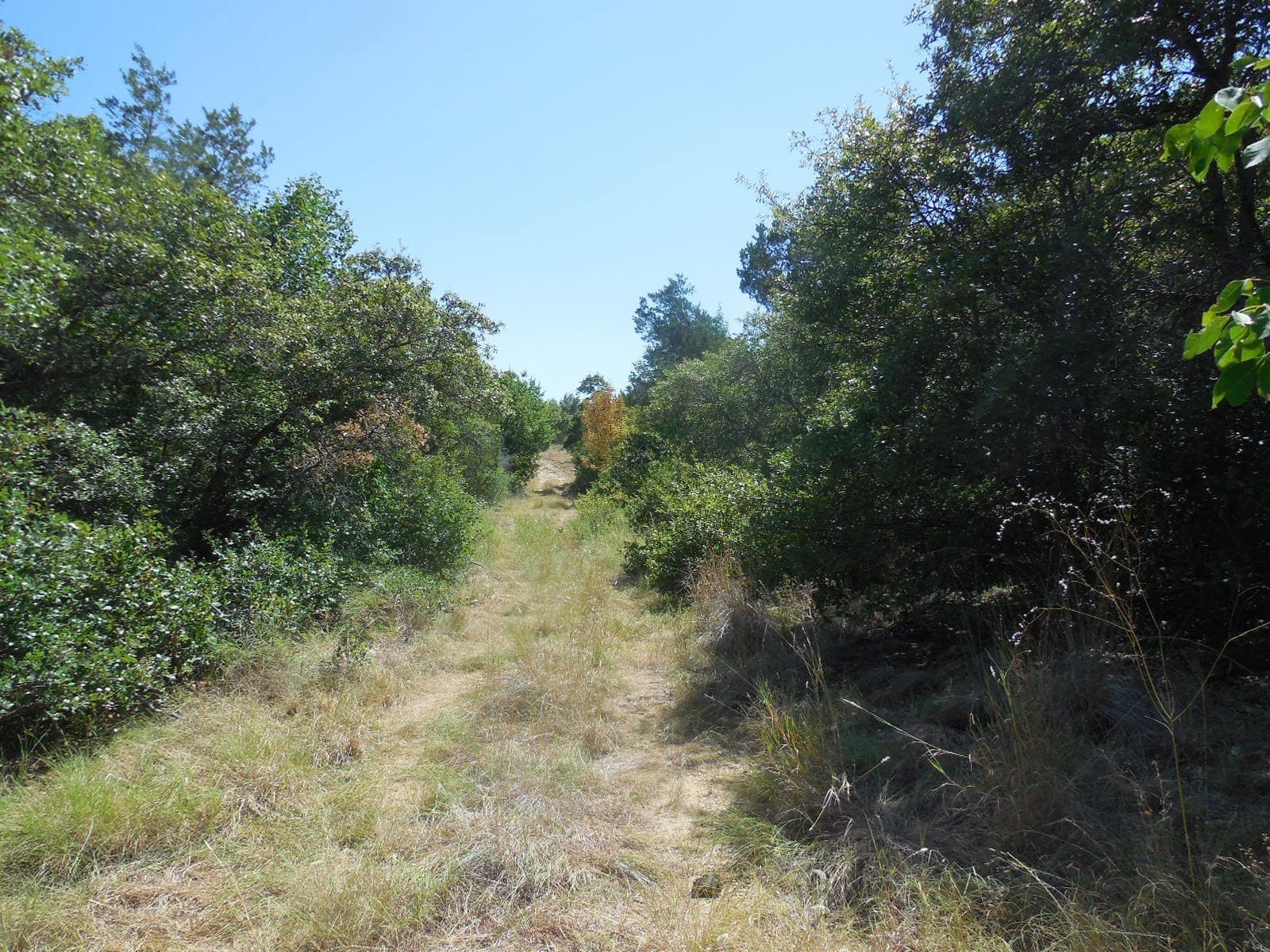 151.99 acres in Eastland County - photo 4