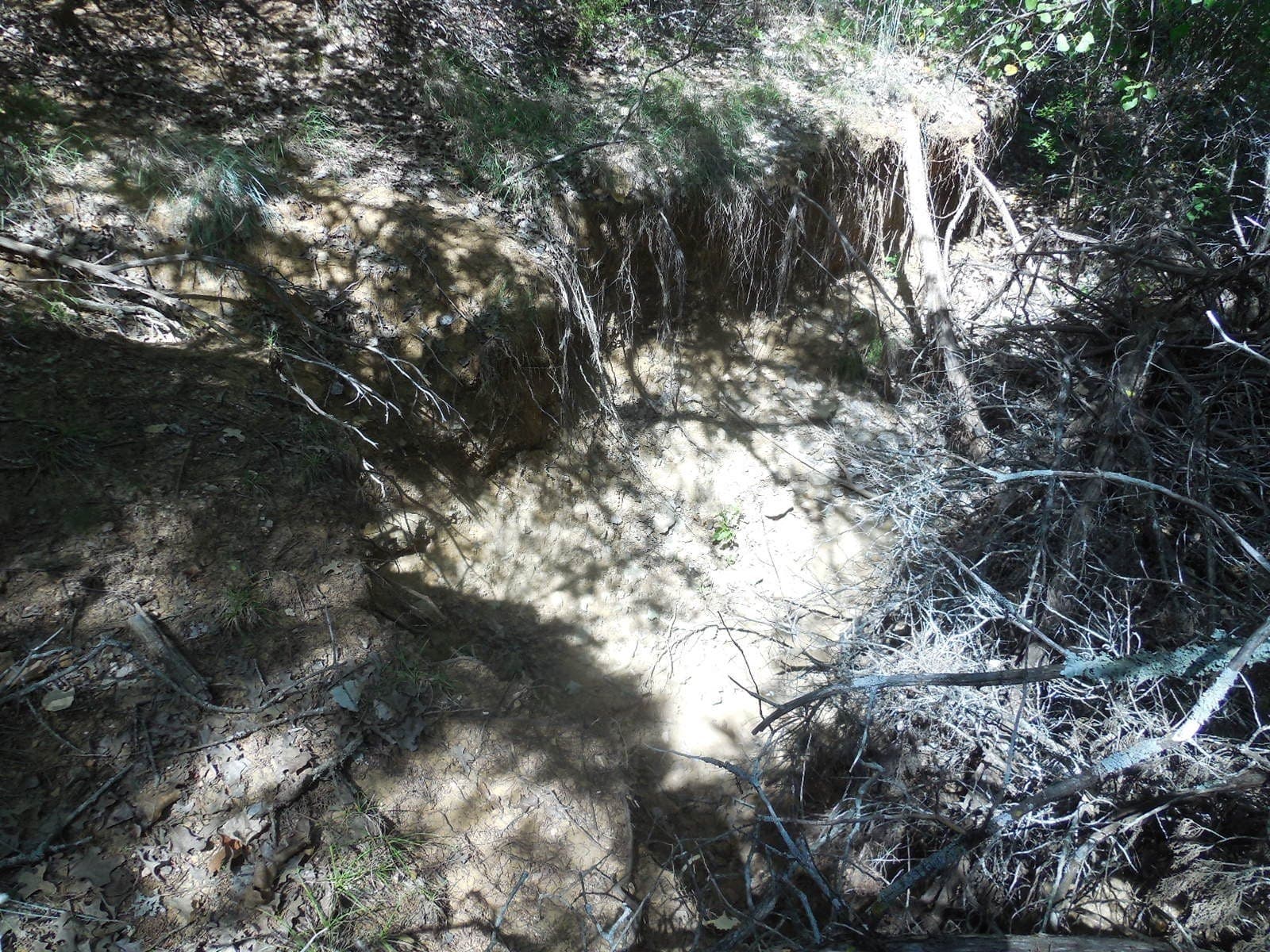 151.99 acres in Eastland County - photo 16