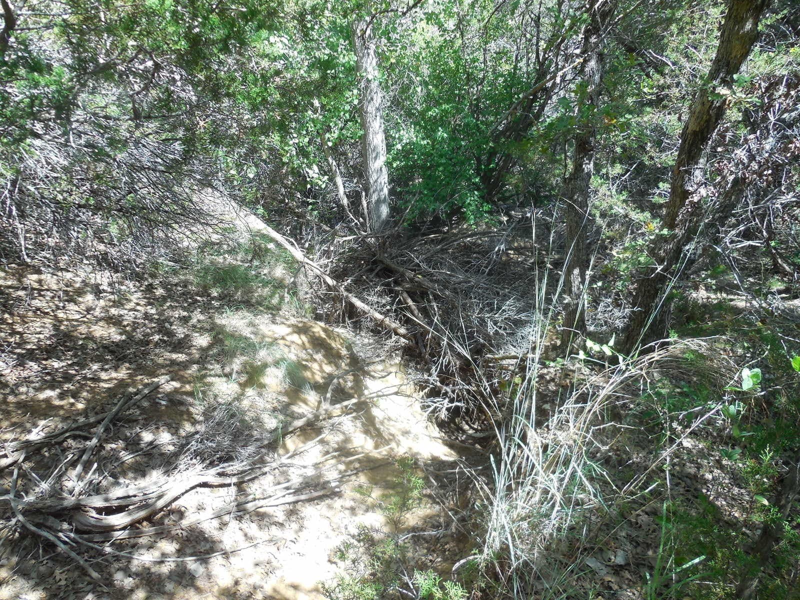 151.99 acres in Eastland County - photo 17