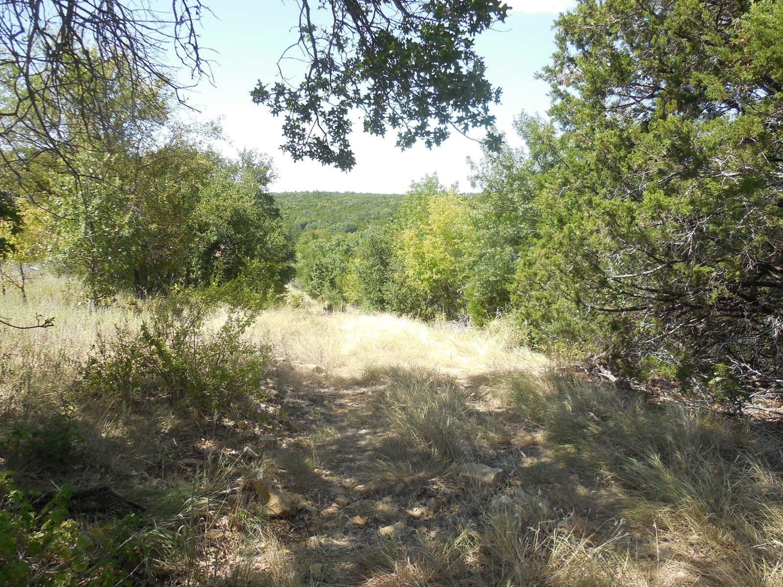 151.99 acres in Eastland County - photo 2