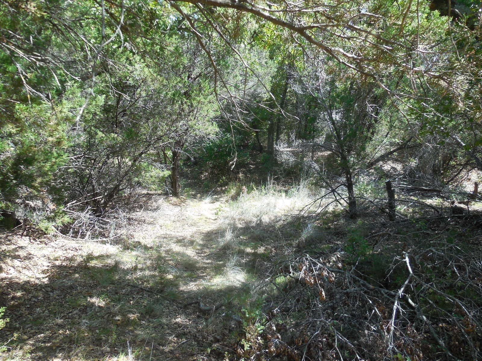 151.99 acres in Eastland County - photo 14