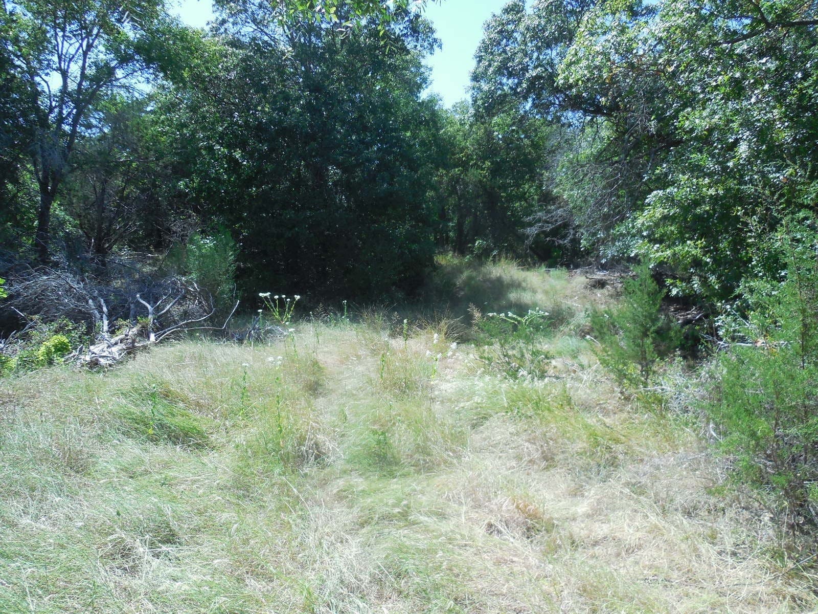 151.99 acres in Eastland County - photo 13