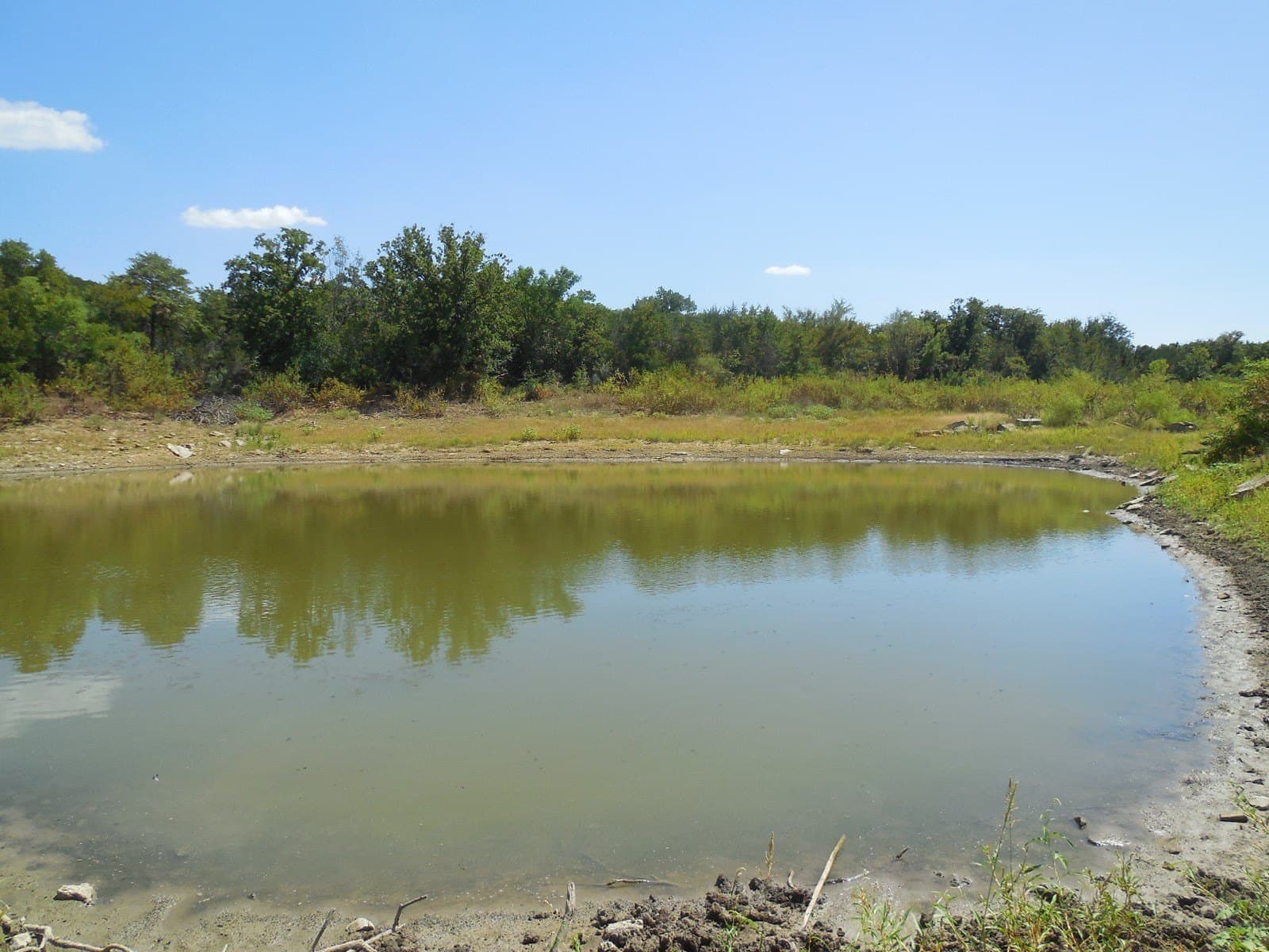 151.99 acres in Eastland County - photo 7