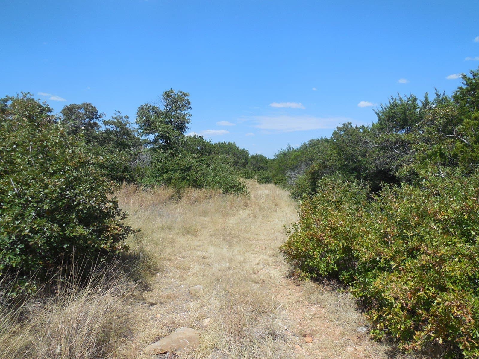 151.99 acres in Eastland County - photo 21