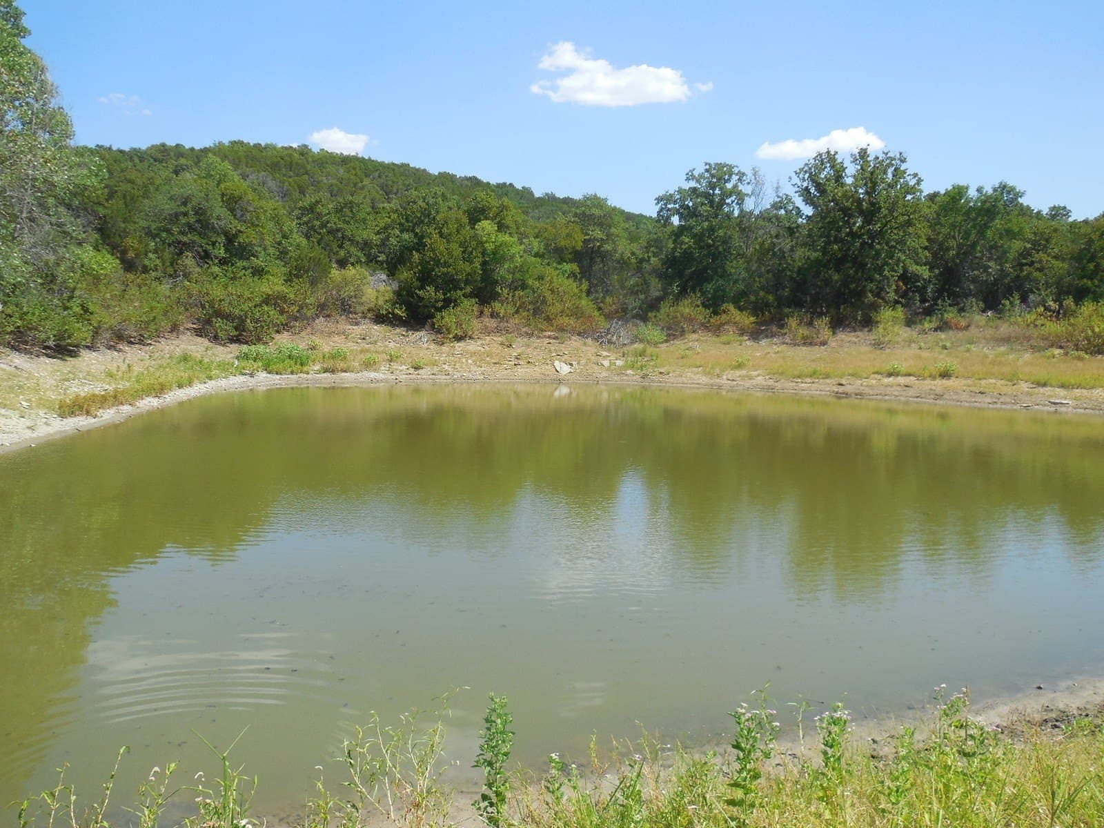 151.99 acres in Eastland County - photo 6