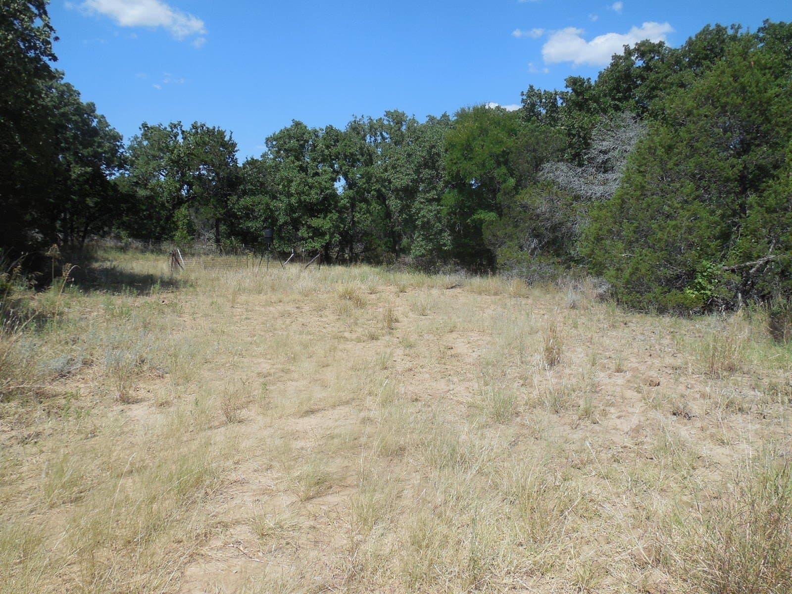 151.99 acres in Eastland County - photo 10