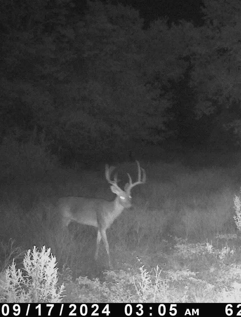 151.99 acres in Eastland County - photo 4