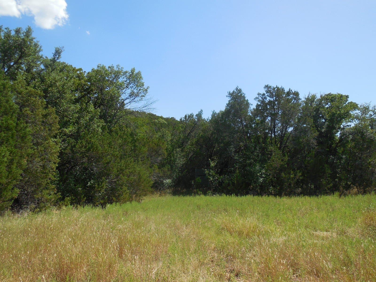151.99 acres in Eastland County - photo 11