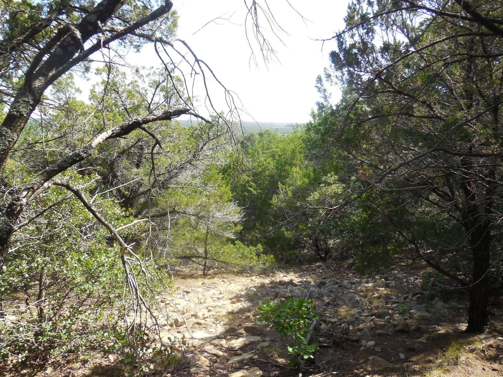151.99 acres in Eastland County - photo 22