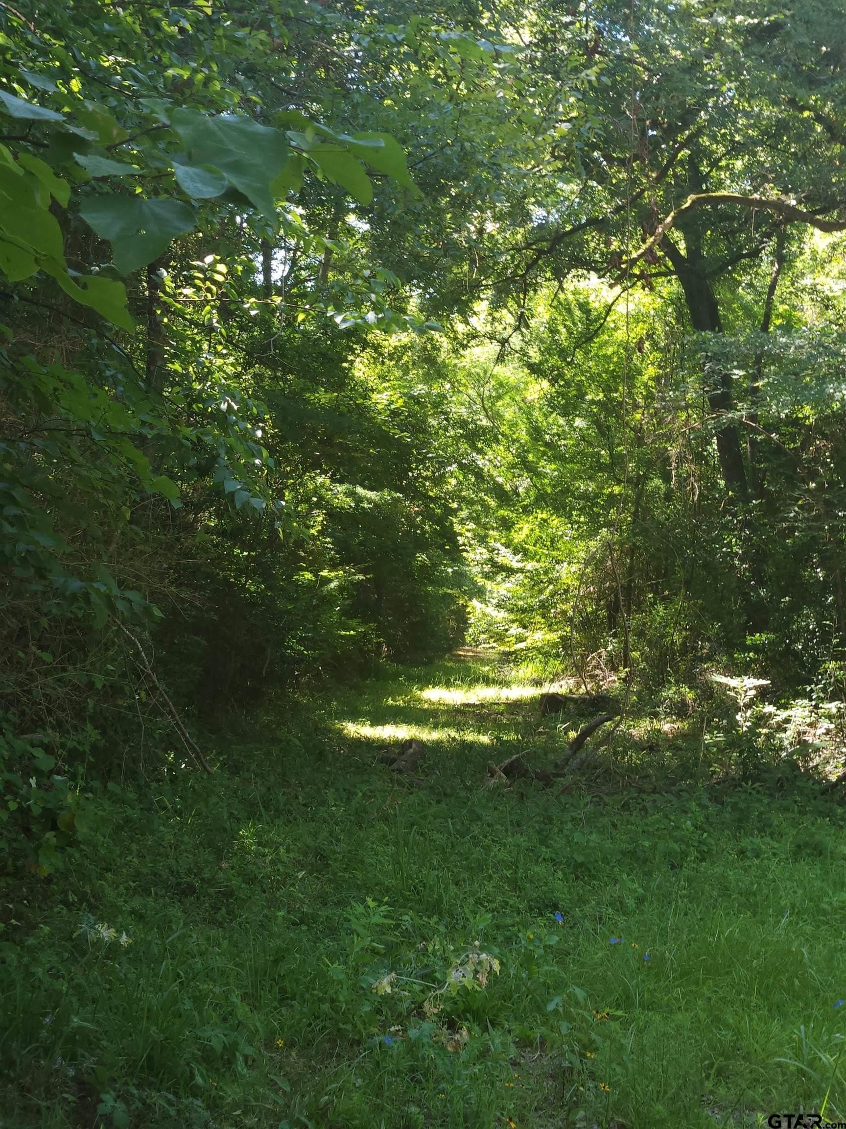 3.41 acres in Cherokee County - photo 7