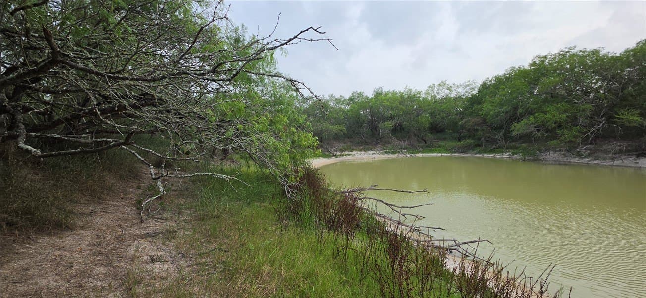 21.04 acres in San Patricio County - photo 37