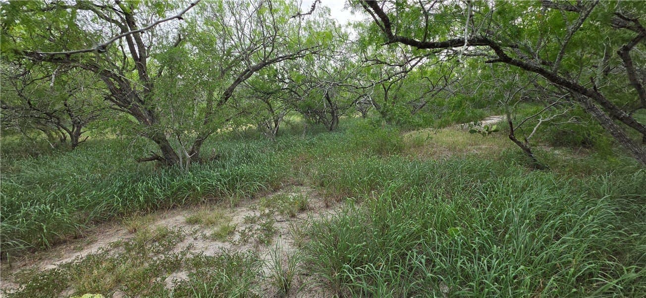 21.04 acres in San Patricio County - photo 34