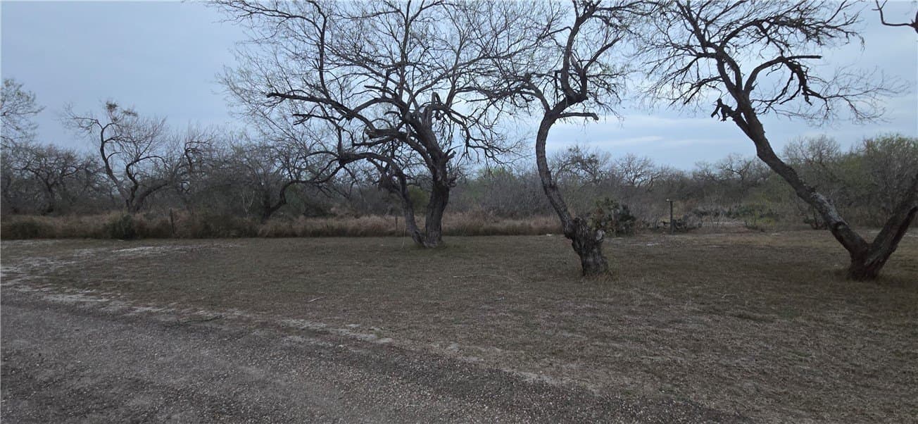 21.04 acres in San Patricio County - photo 24