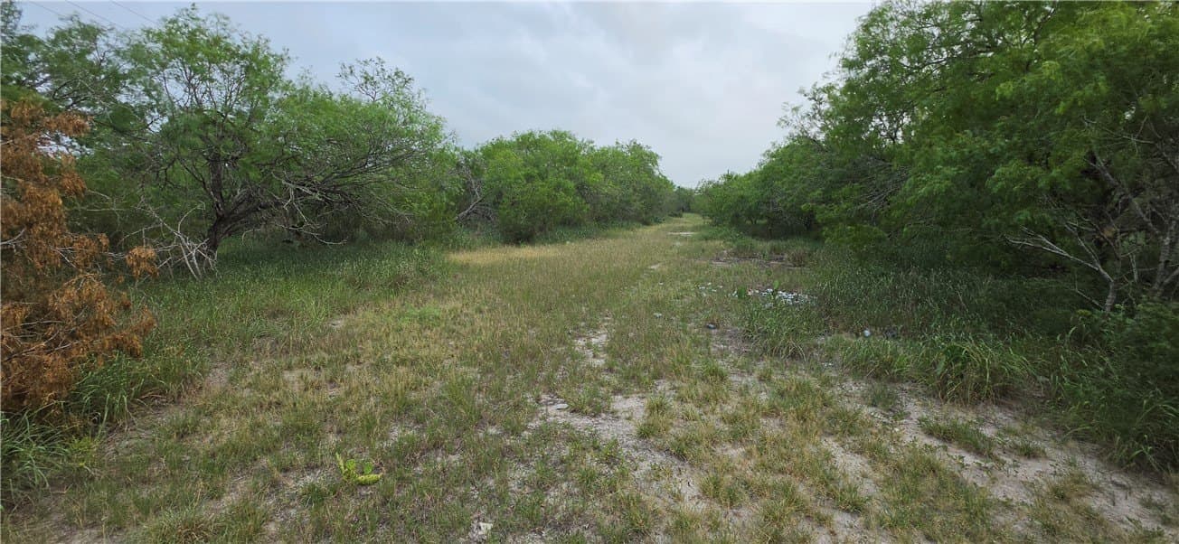 21.04 acres in San Patricio County - photo 32