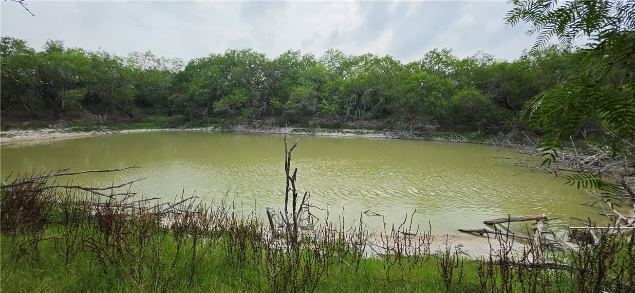 21.04 acres in San Patricio County - photo 36