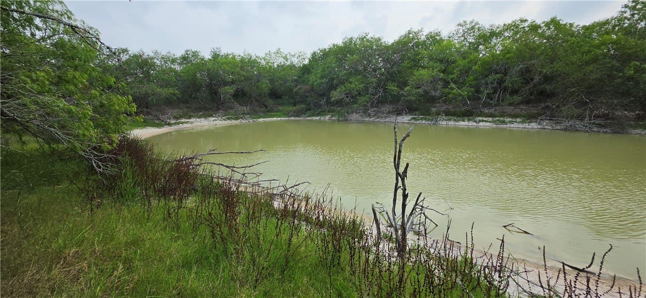 21.04 acres in San Patricio County - photo 35