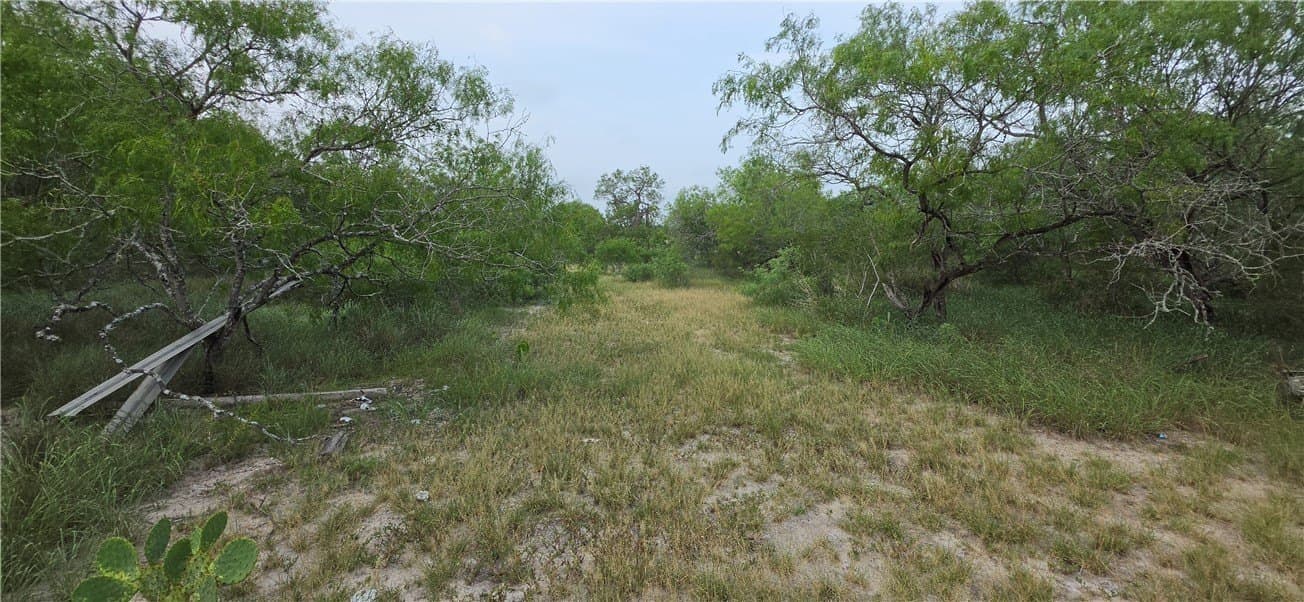 21.04 acres in San Patricio County - photo 33