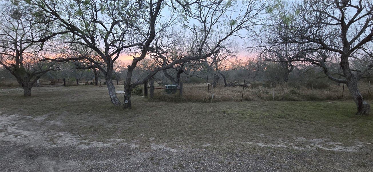 21.04 acres in San Patricio County - photo 25