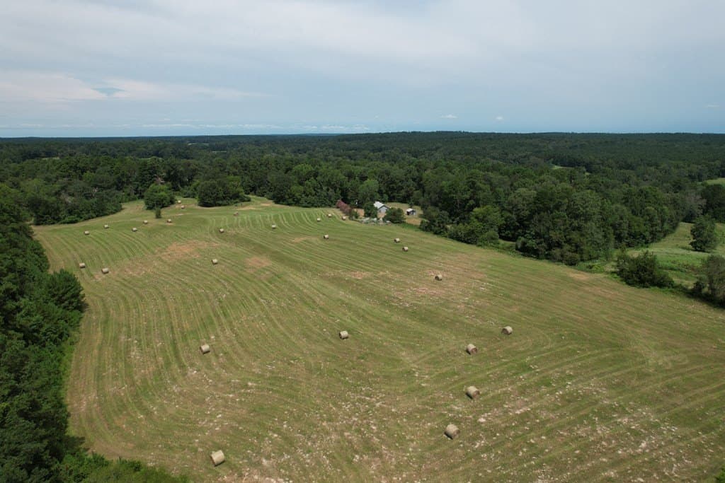 125 acres in Texas County - photo 7