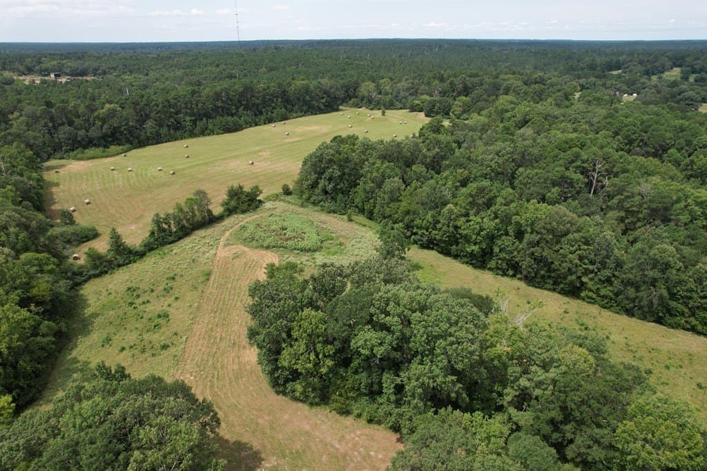 125 acres in Texas County - photo 39