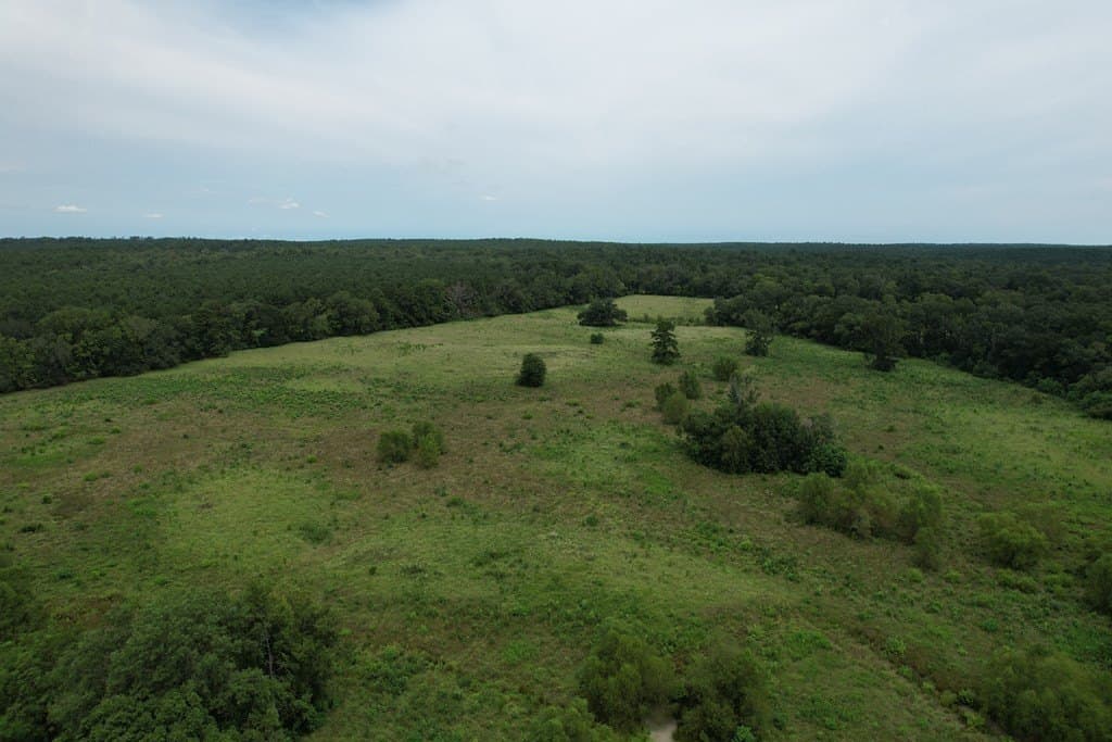 125 acres in Texas County - photo 6