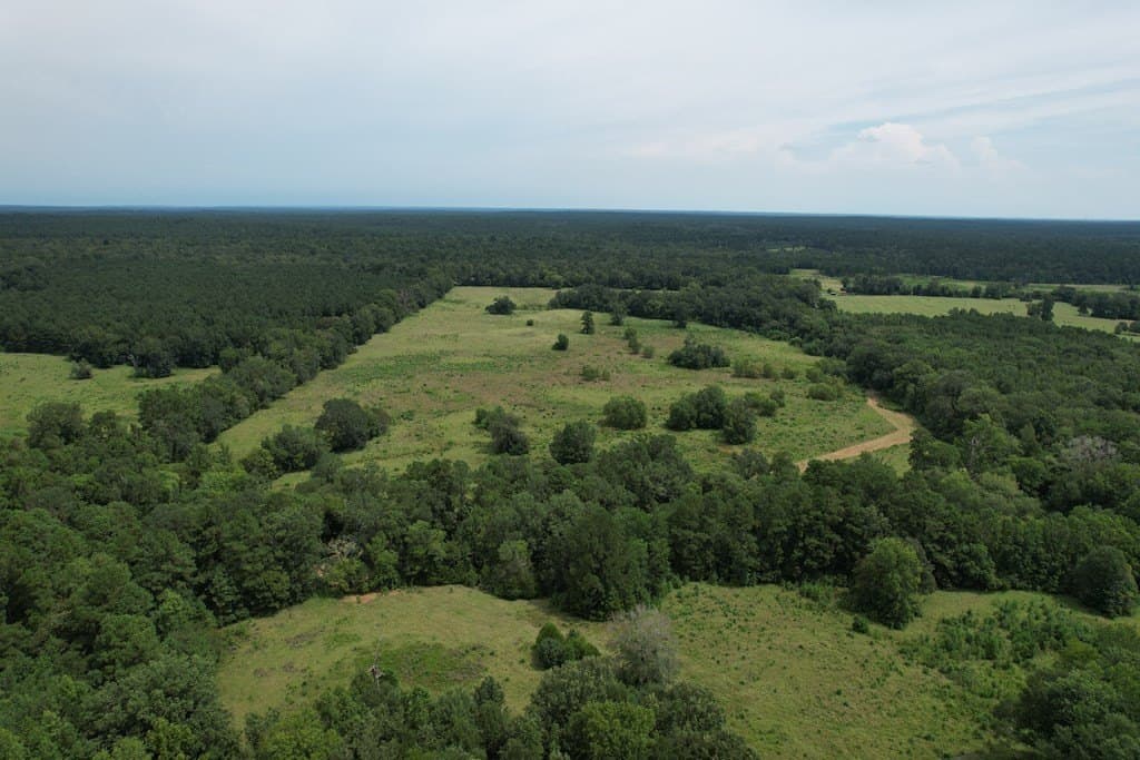 125 acres in Texas County - photo 36