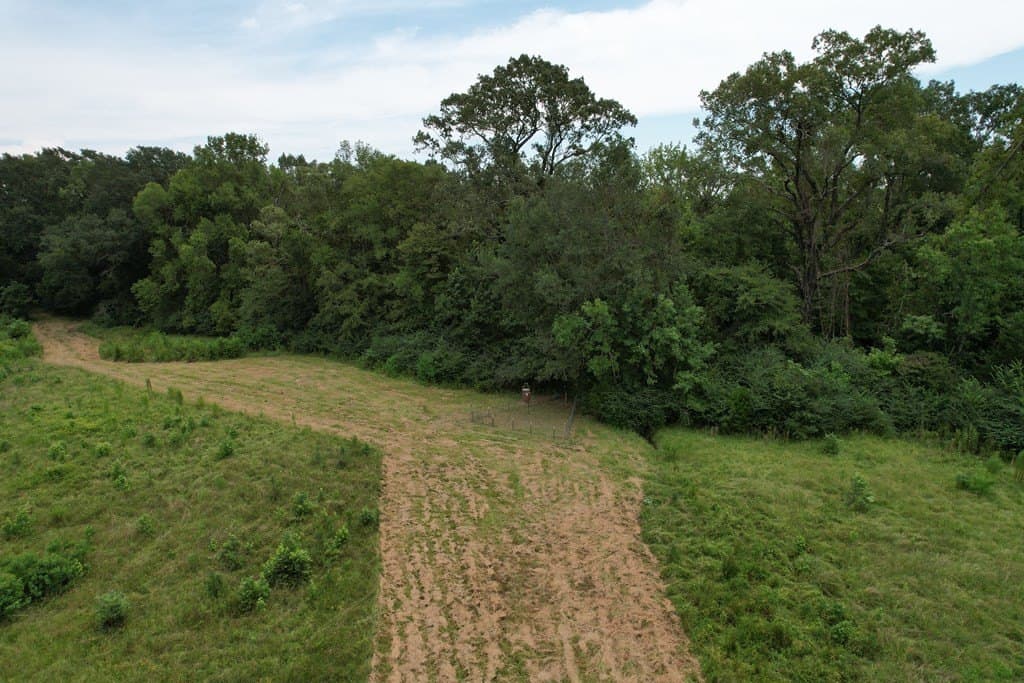 125 acres in Texas County - photo 43