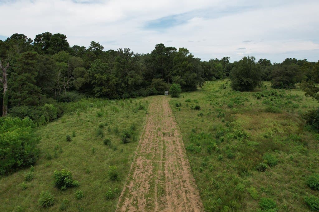 125 acres in Texas County - photo 44
