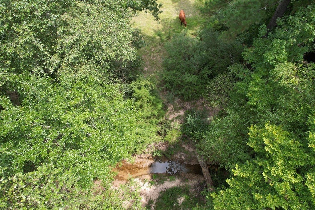 125 acres in Texas County - photo 42