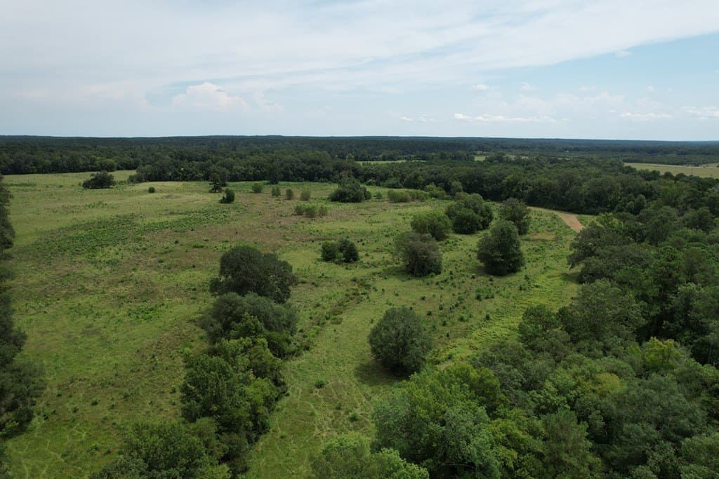 125 acres in Texas County - photo 38