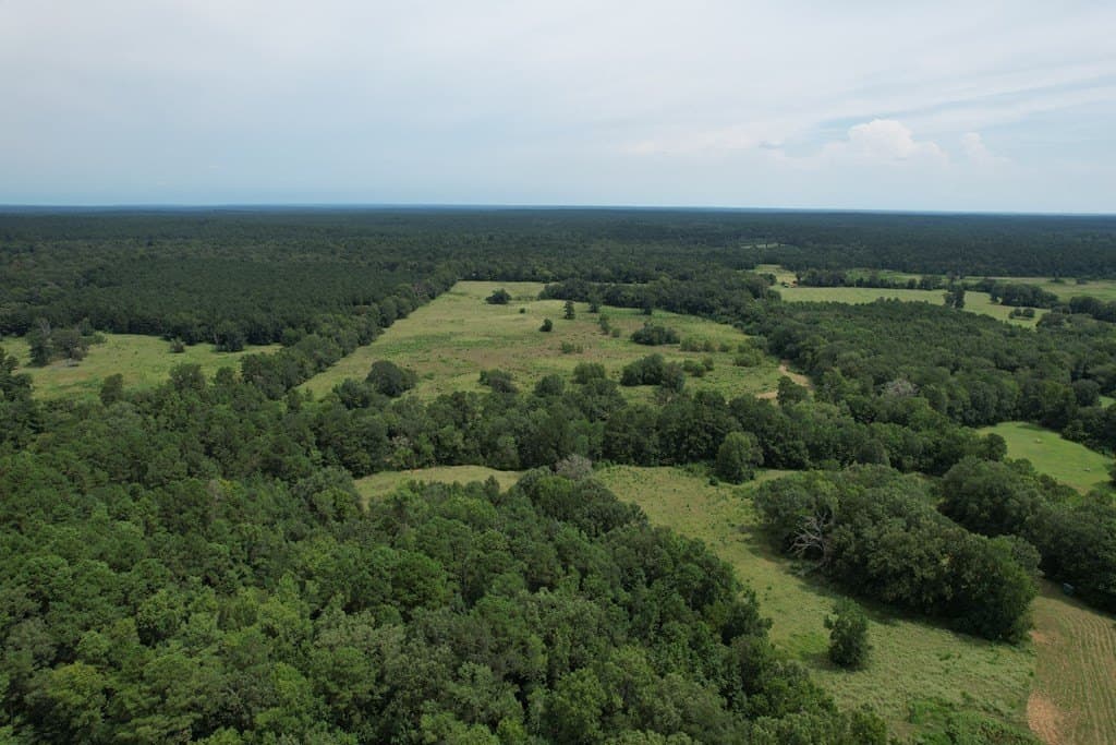 125 acres in Texas County - photo 4