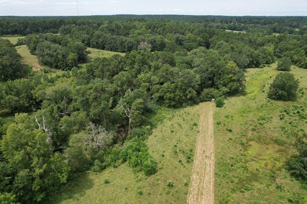 125 acres in Texas County - photo 5