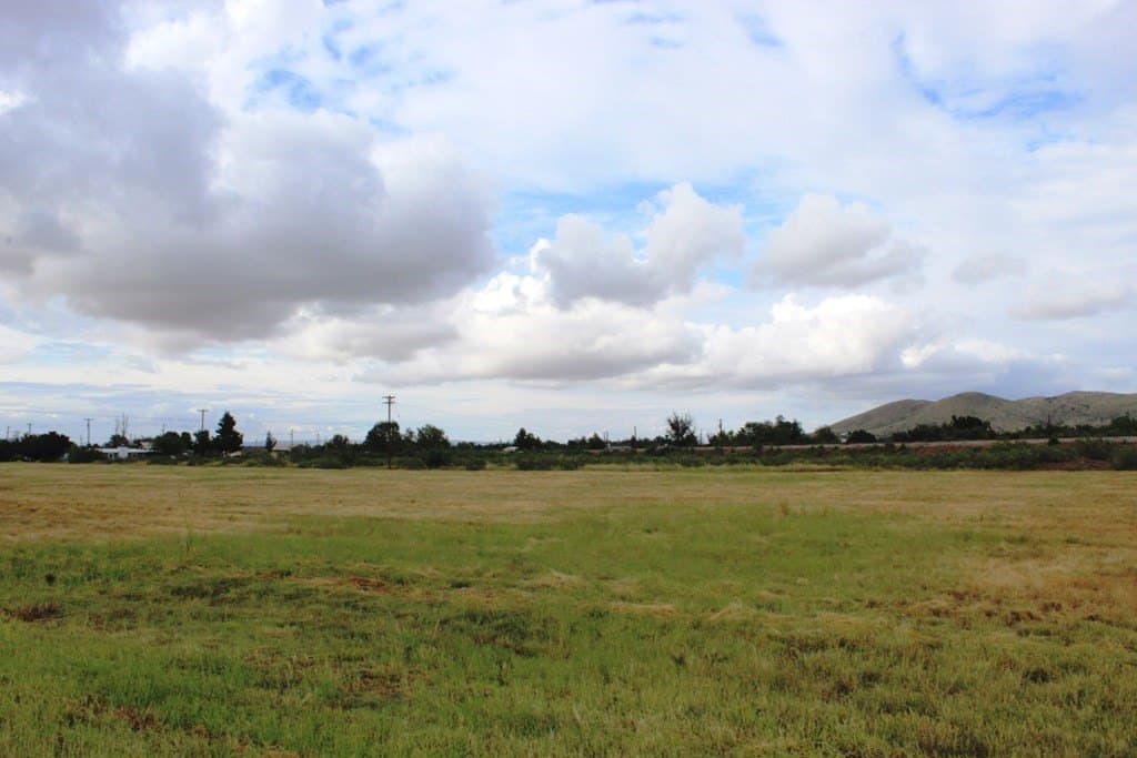 0 acres in Brewster County - photo 8
