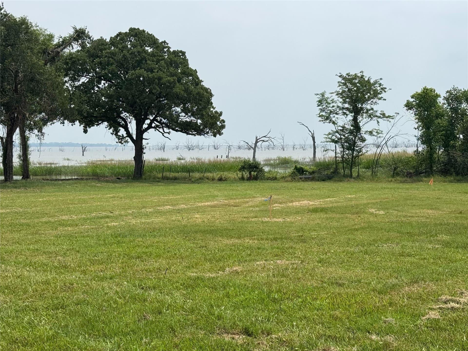2.64 acres in Navarro County gallery image 3
