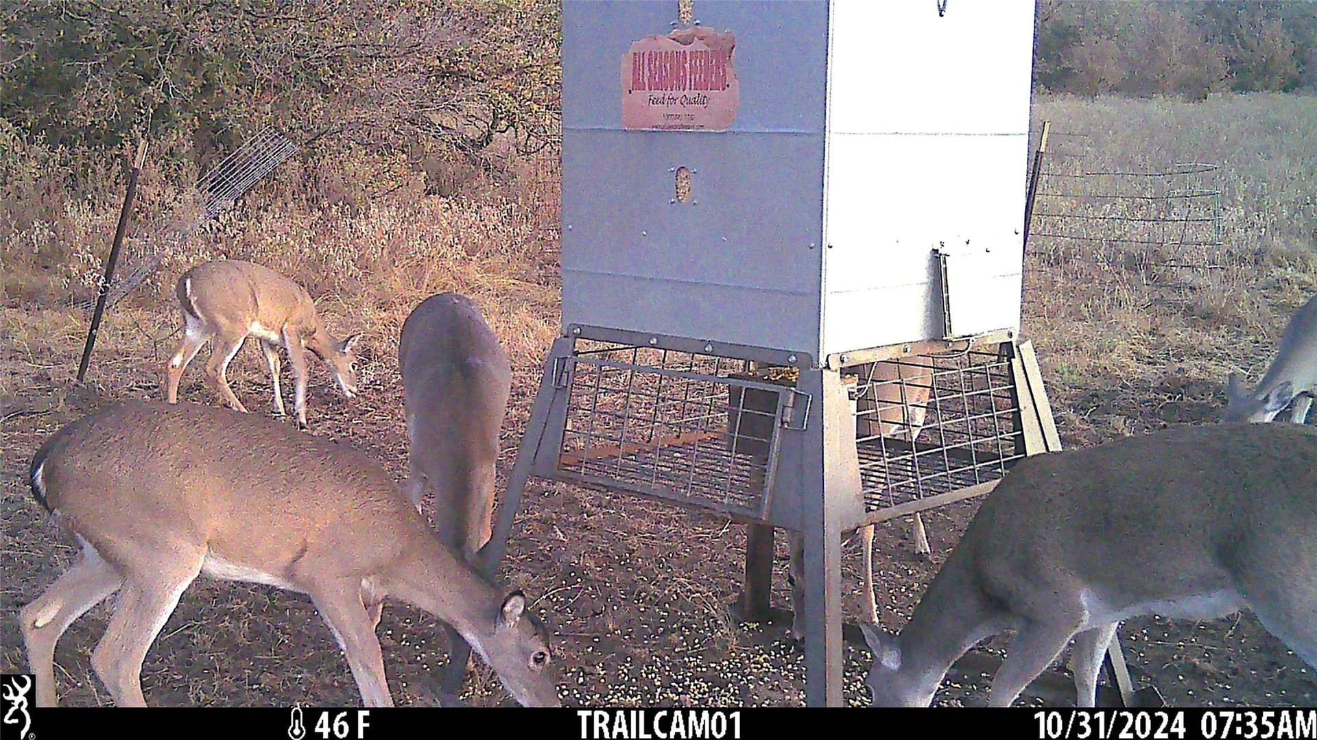 50 acres in Parker County - photo 17